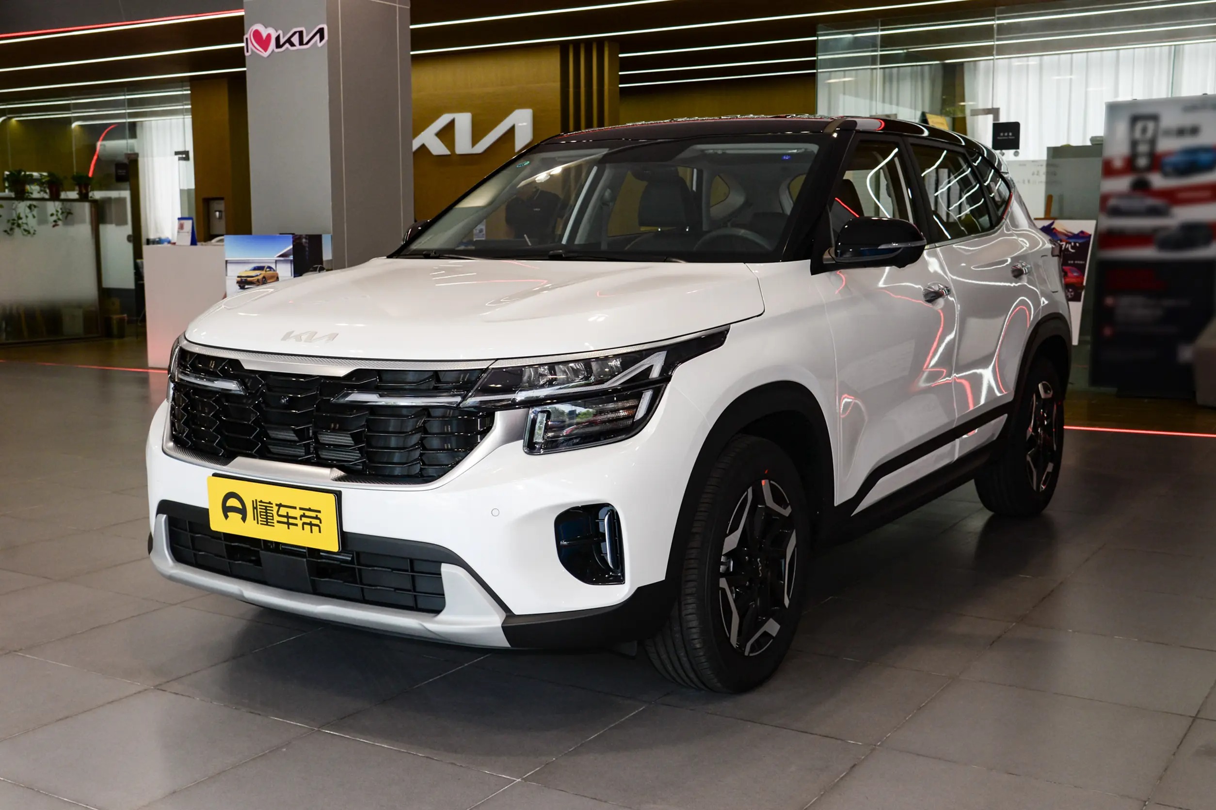 DCP_2b4ce71ef7c36b42215fb89d0296 (1)